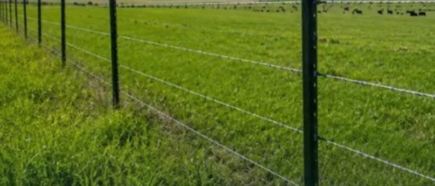 Wire fence line stretching across open ranch land