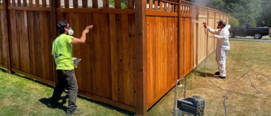 Crew spray-staining a cedar fence